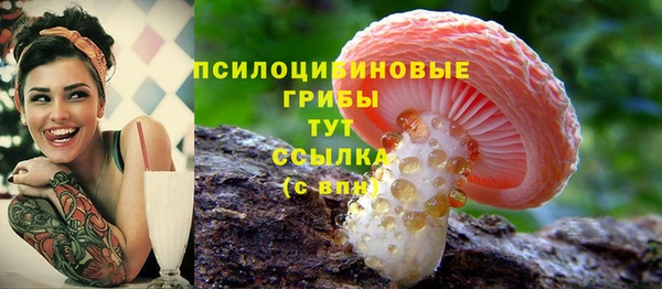 твердый Нефтекумск