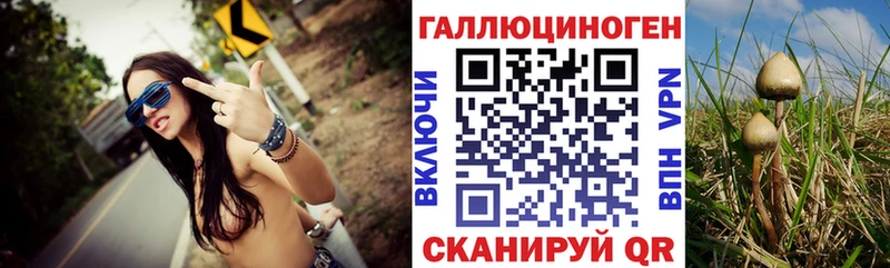 Галлюциногенные грибы Psilocybe  Комсомольск-на-Амуре 